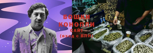 трава Новодвинск