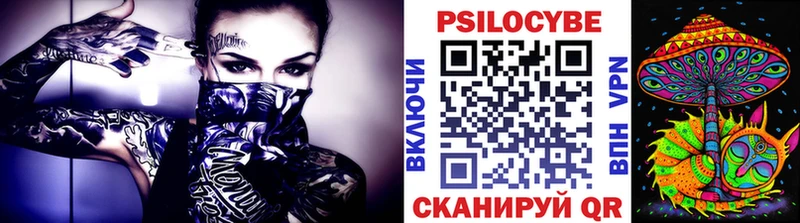 Псилоцибиновые грибы Psilocybine cubensis Советск